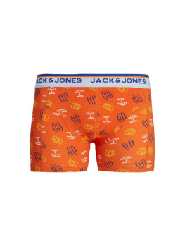 Boxer Summer Verano