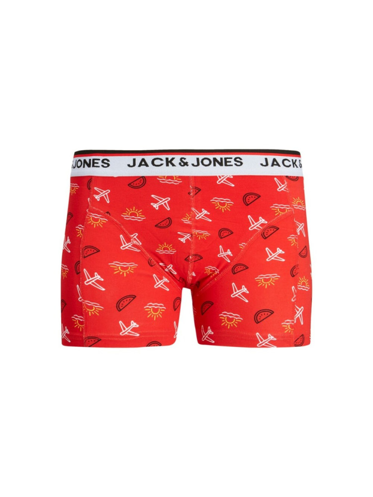 Boxer Summer Verano