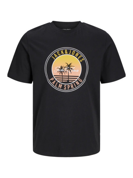 CAMISETA NEGRA PALMERA