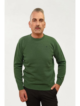 JERSEY TOME VERDE CUELLO CAJA