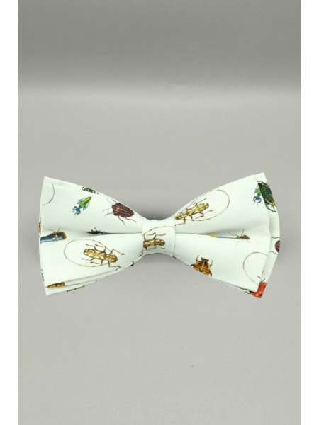 PAJARITA INSECTOS SHAMAT